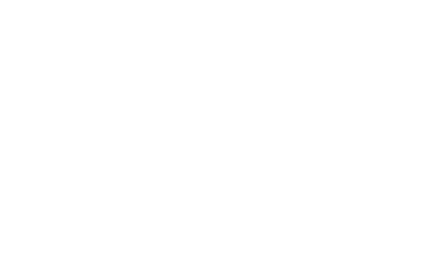 logo-cg29-2023-blanc